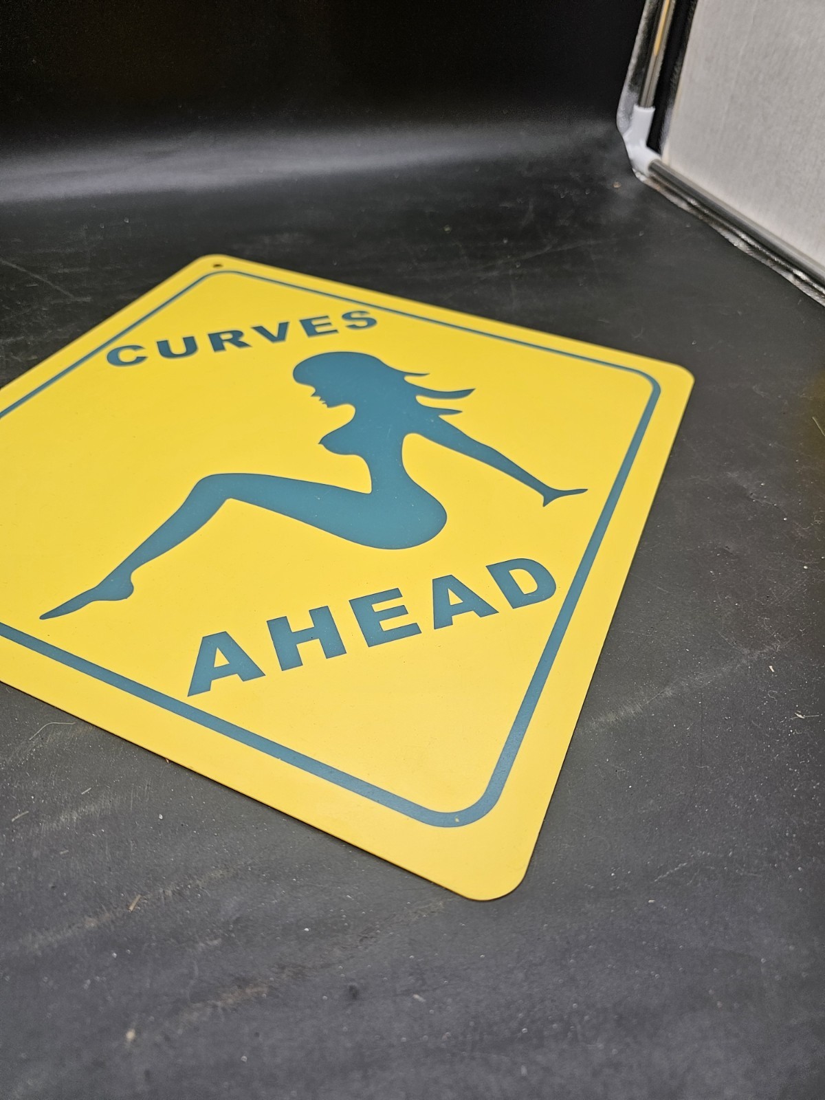 Curves Ahead Caution Sexy Silhouette Wall Art Decor Novelty Notice Plastic Sign