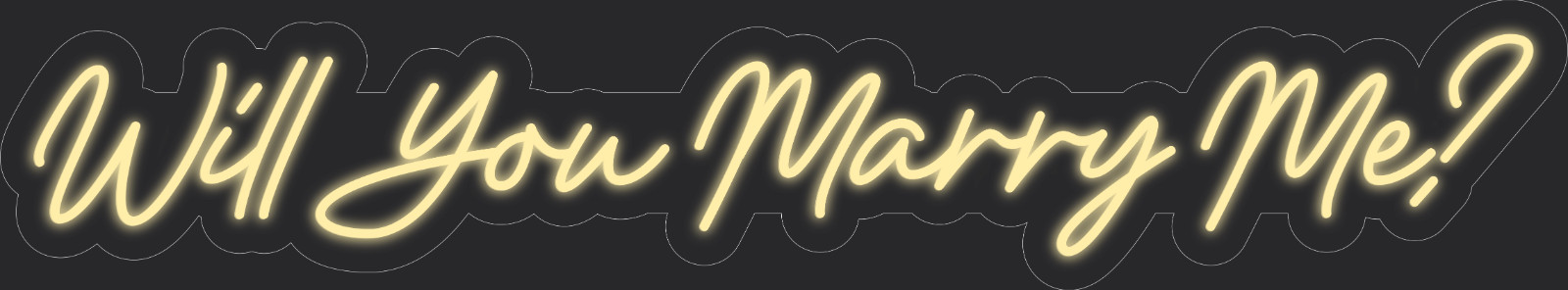 Will You Marry Me 48x9in. Warm White Neon LED Sign Decor Wall Lights Store