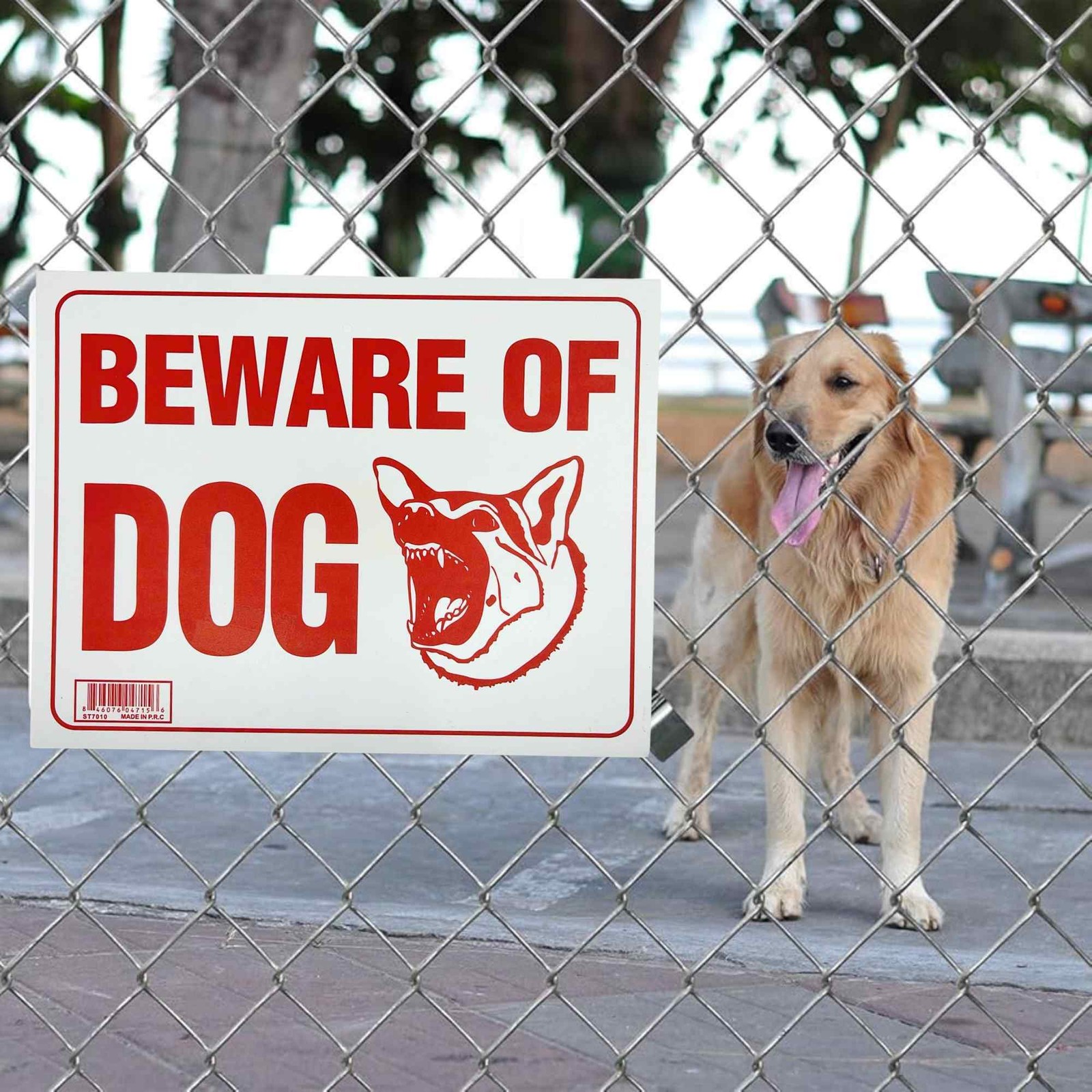 9″X12″ “BEAWARE OF DOG” Plastic Signage Sign-1 Pack