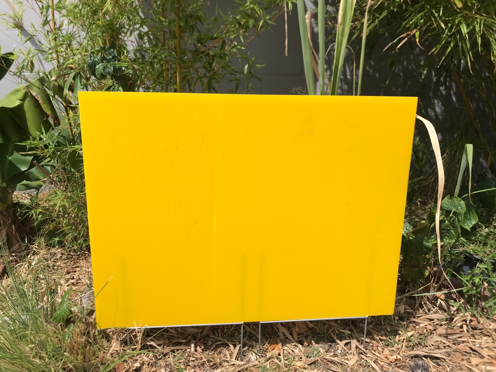 50 Pack Yellow Yard Signs 18”x24” & 100 H-Stakes 12” Brand New Ship Same Day