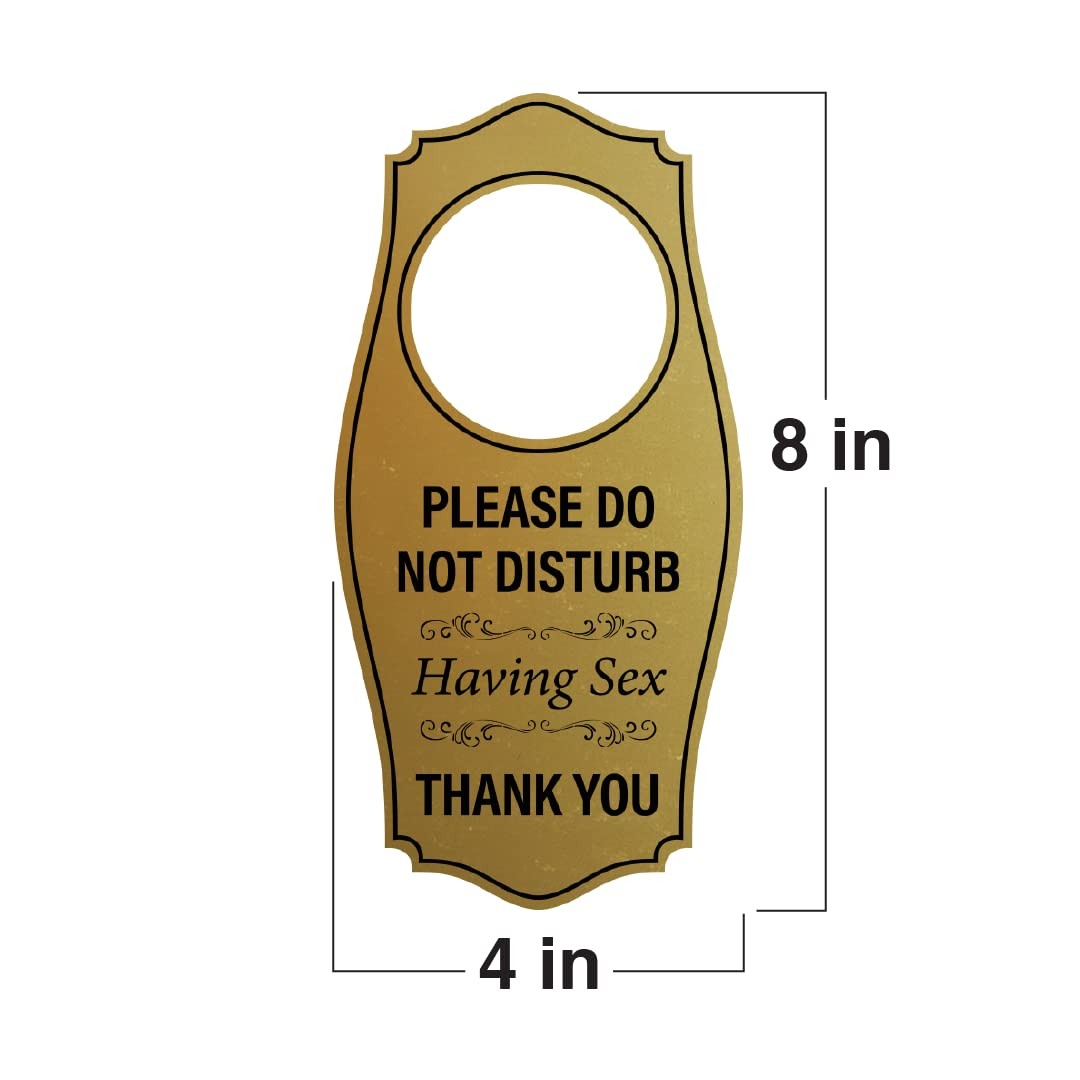 1 PC 4×8 inch Do Not Disturb Having Sex Thank You Door Hanger Black and Gold