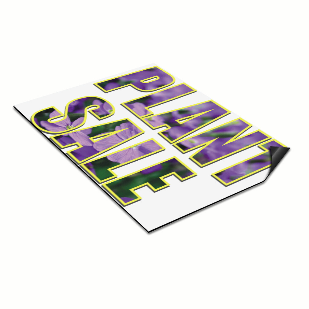 Car Magnet Set of 2 Plant Sale Outdoor Advertising Printing B Industrial Sign