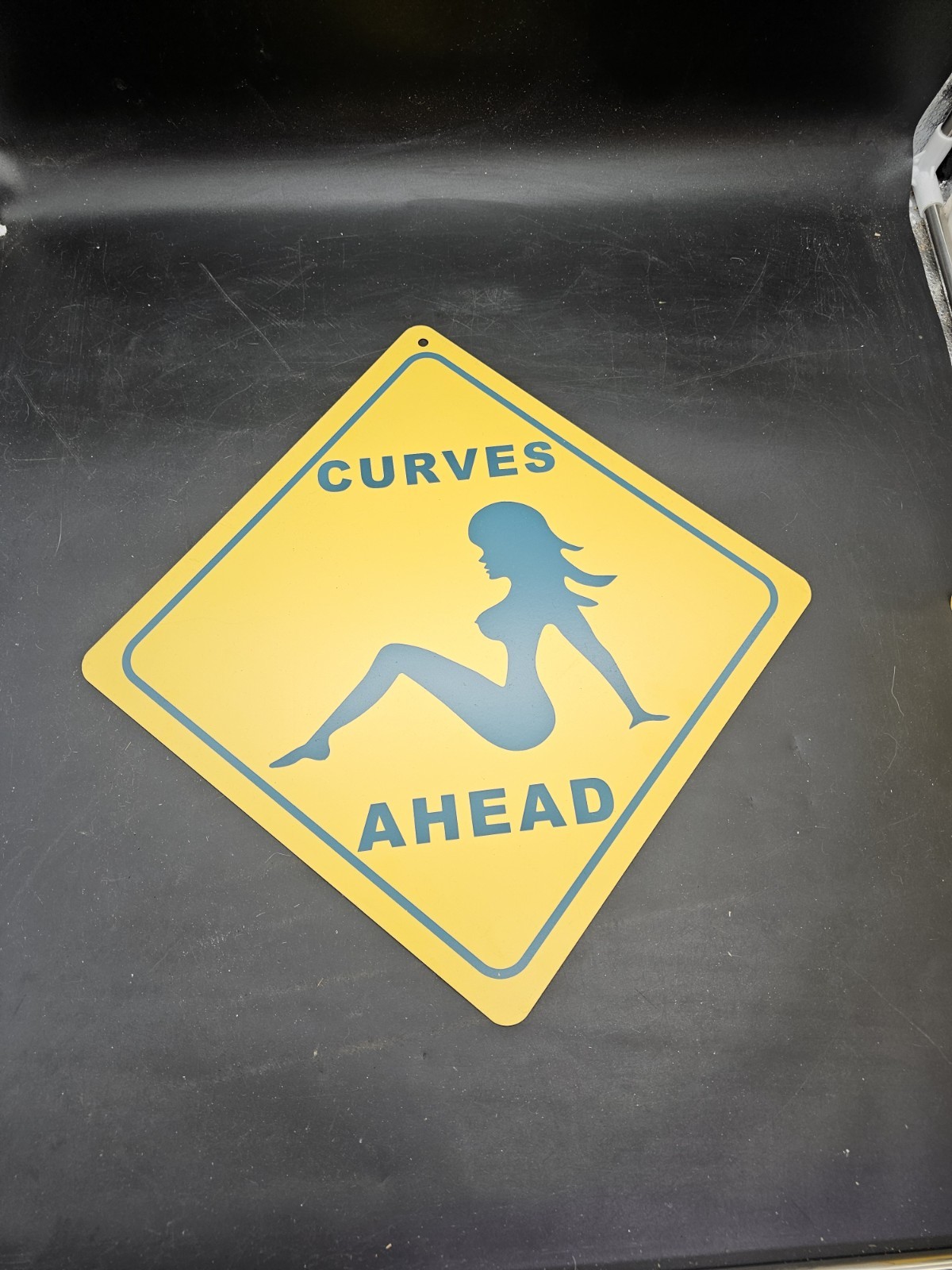 Curves Ahead Caution Sexy Silhouette Wall Art Decor Novelty Notice Plastic Sign