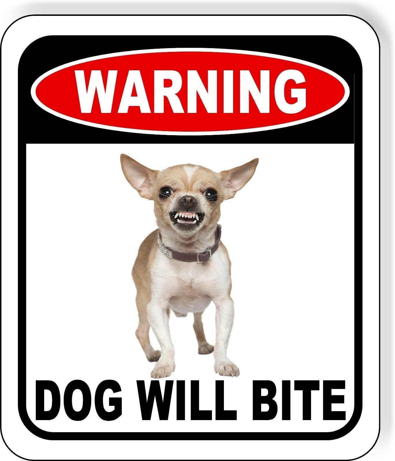 Warning Vicious dog will bite Angry Chihuahua growling Aluminum Composite Sign