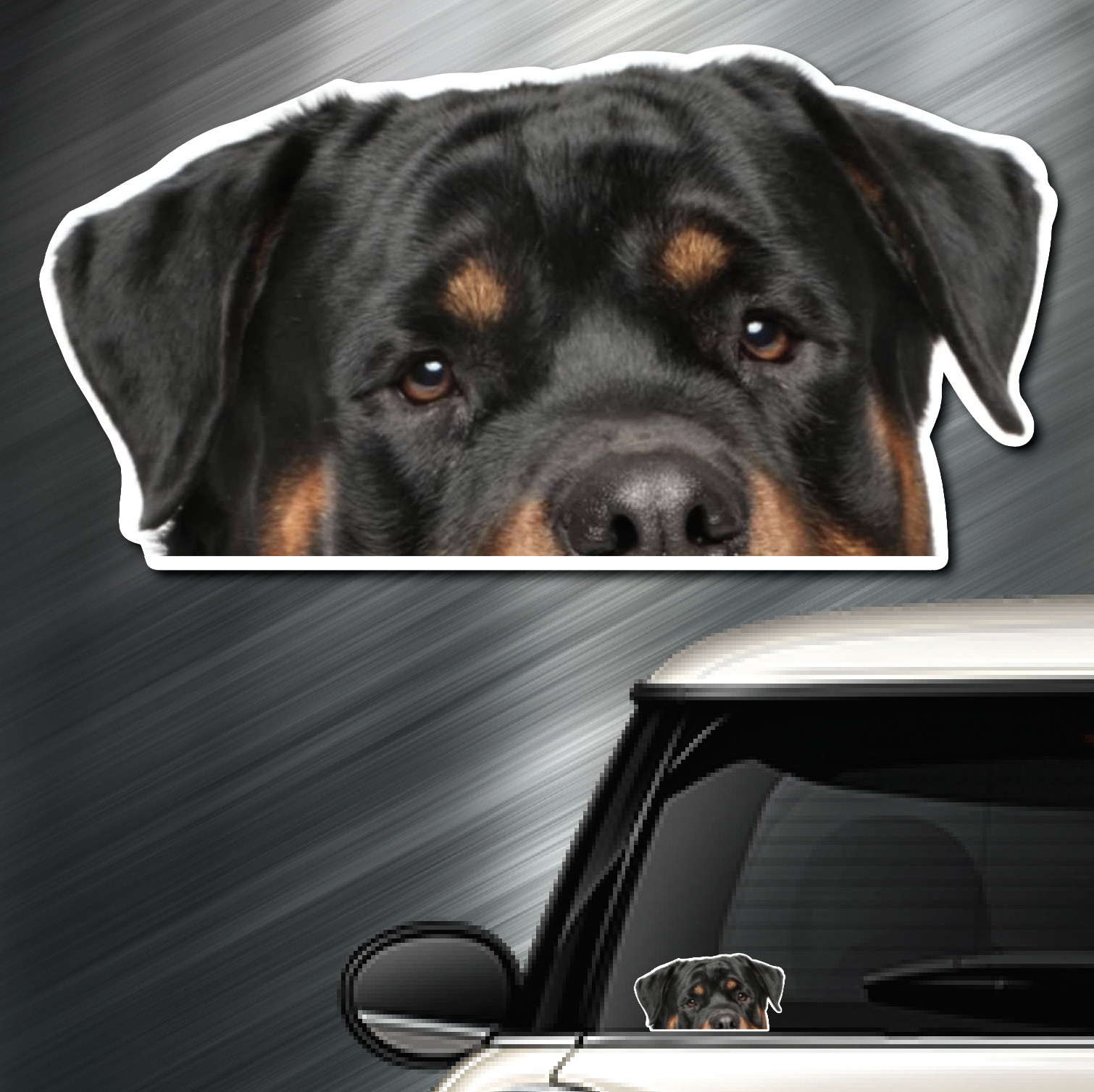 (20) Rottweiler DOG Peeper Sticker Window Peep Decal Car Auto AKC Puppy 3.5×6.75